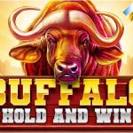 Agen Poker, Togel dan Bola Terpercaya serta Prediksi Bola Terbaru