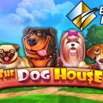 Trik Simpel Menang Banyak Bermain Slot Online The Dog House