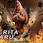 Panduan Dan Jenis-Jenis Taruhan Lengkap Judi Sabung Ayam Online
