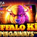 Ini Cara Dalam Main Judi Slot Pragmatic Play Buffalo King Megaways Terpopuler