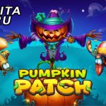 Permainan Judi Slot Online Habanero Terbaik Pumpkin Patch
