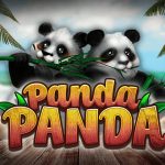 Peningkatan Jackpot Terbesar Se Asia Dalam Bermain Permainan Judi Slot Online Habanero Panda Panda