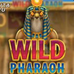 Cara Untuk Memenangkan Setiap Putaran Permainan Judi Slot Online Top Trend Gaming Wild Pharaoh