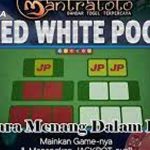 Metode Sederhana Menang Jackpot Slot Online